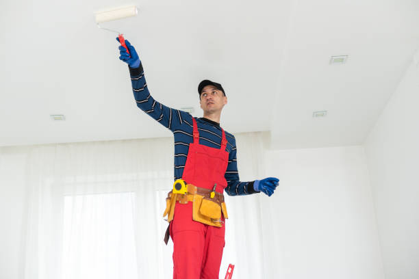 Best Drywall Sanding and Smoothing  in Kemah, TX